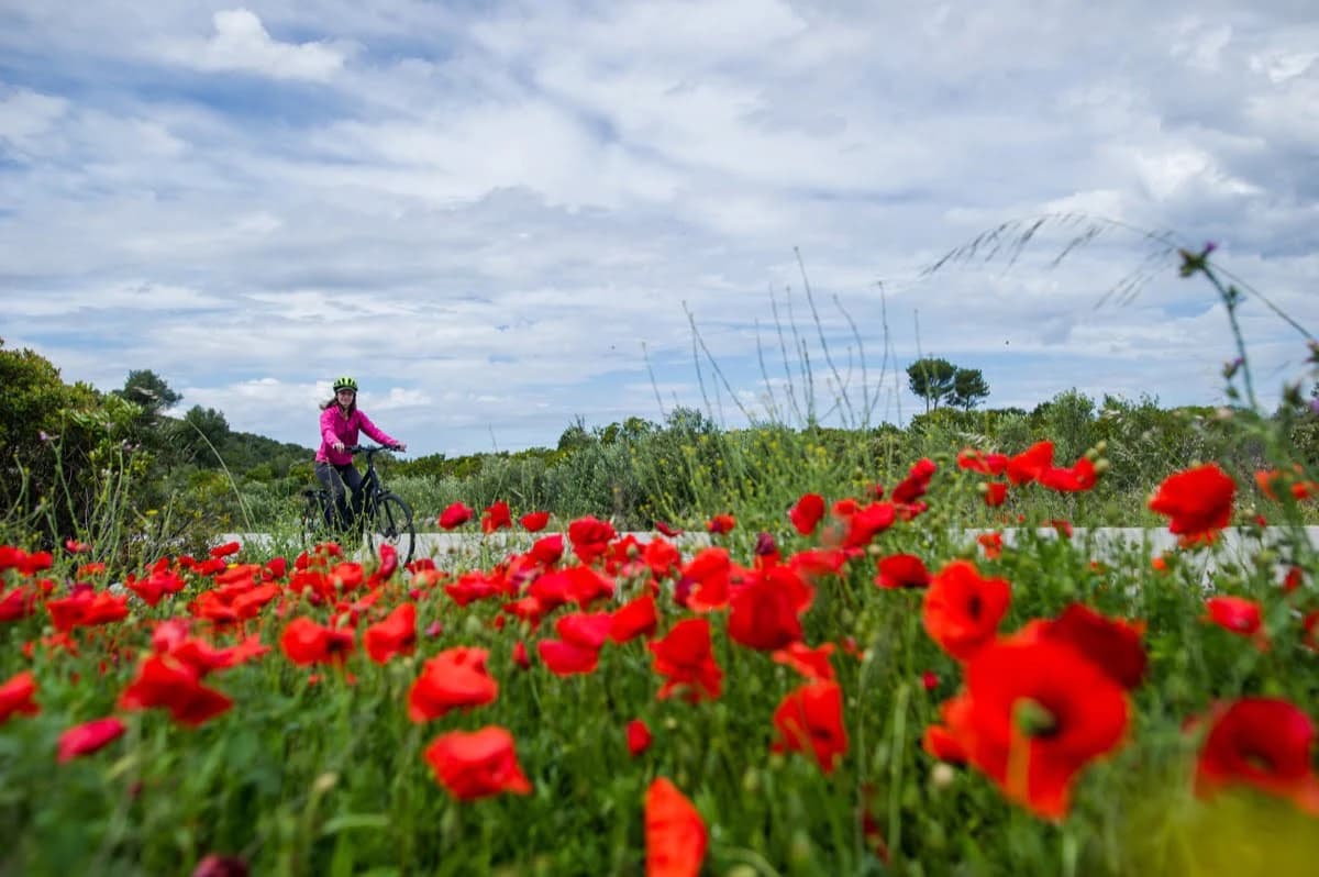 il-meglio-della-dalmazia-in-e-bike-e-barca-da-dubrovnik-a-spalato