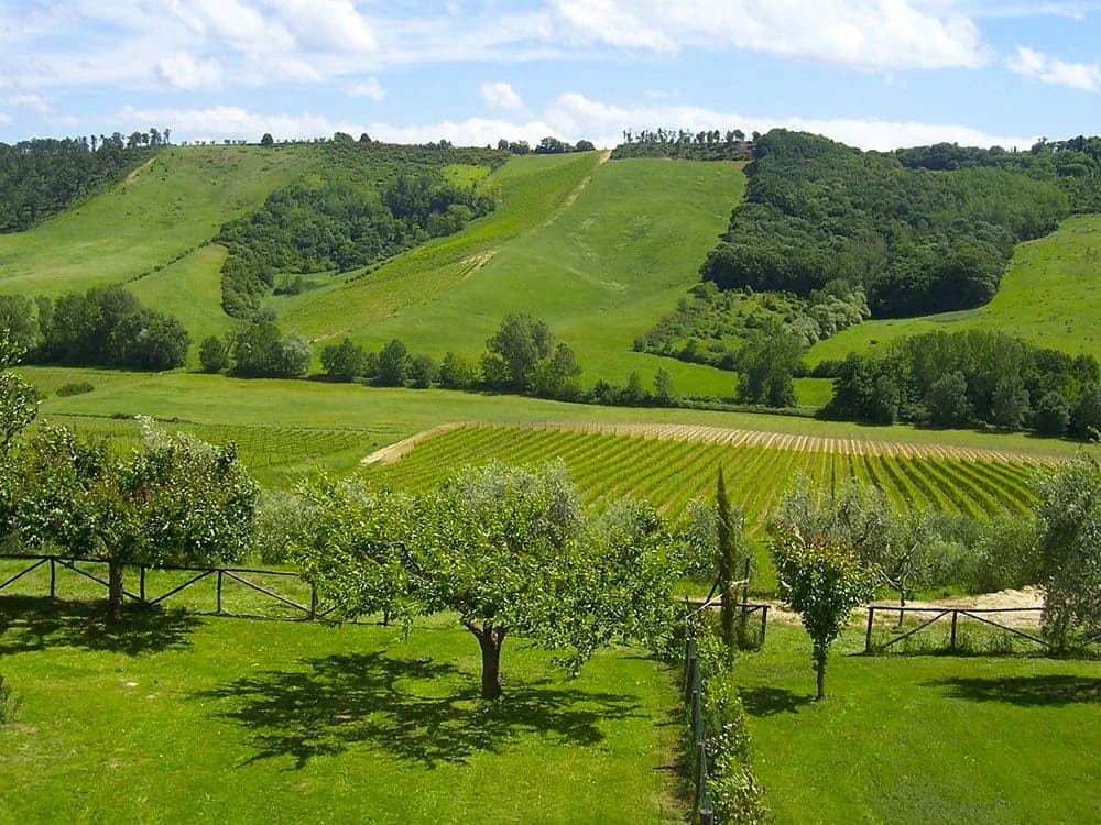 da-assisi-a-spoleto-in-5-giorni