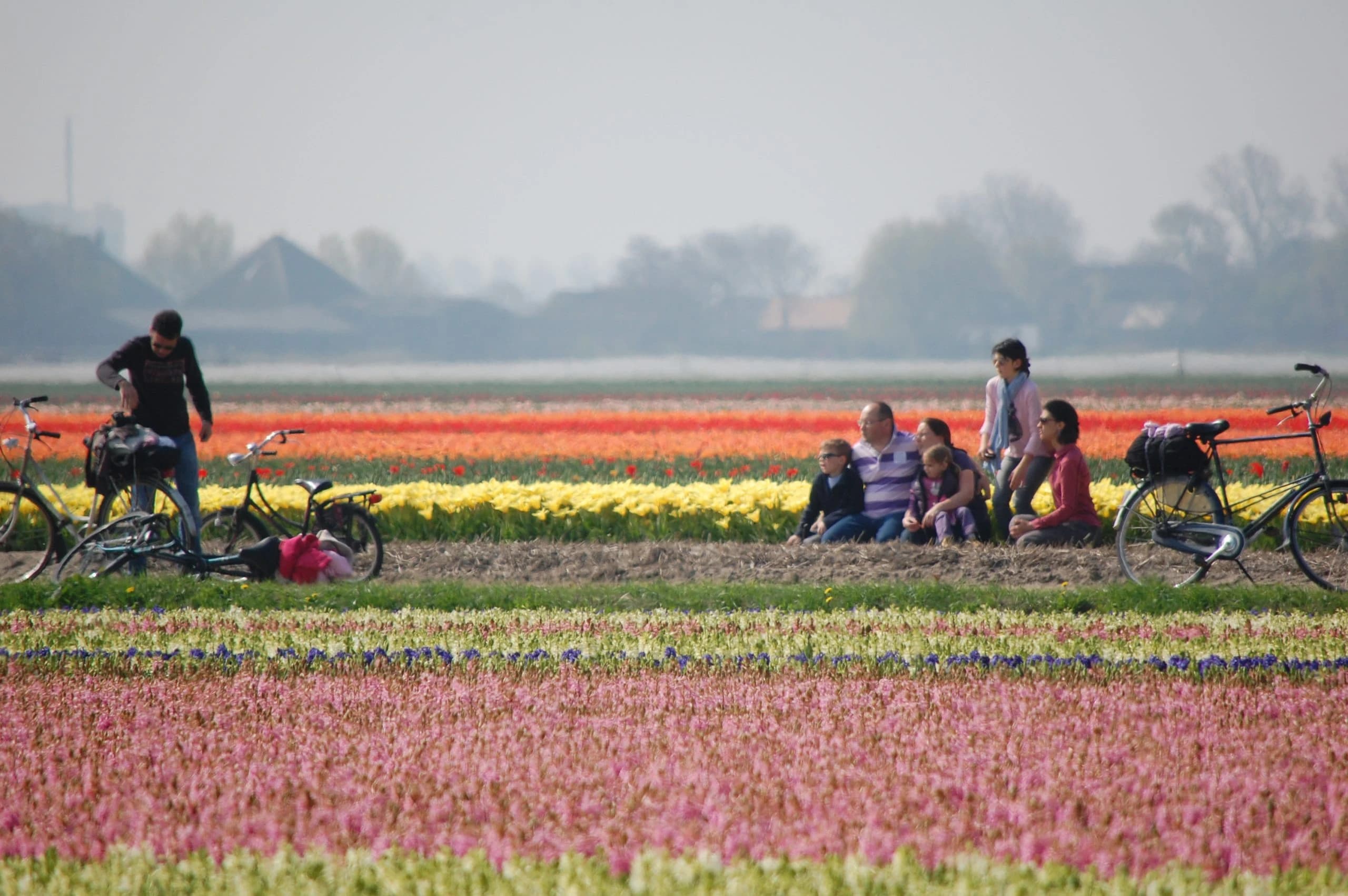 the-tulip-tour-by-bike-and-boat-comfort