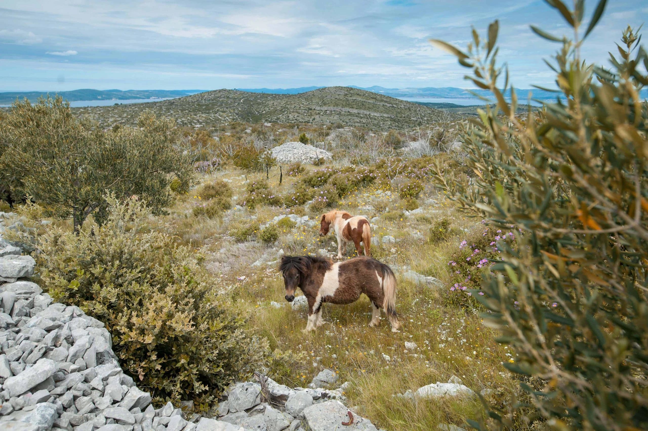 le-isole-della-dalmazia-in-barca-e-mtb-special