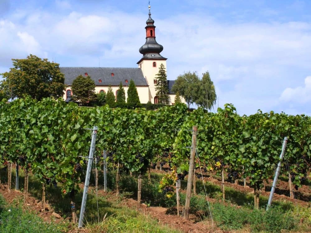 bike-and-boat-along-the-rhine-and-neckar-from-bad-wimpfen-to-coblenz