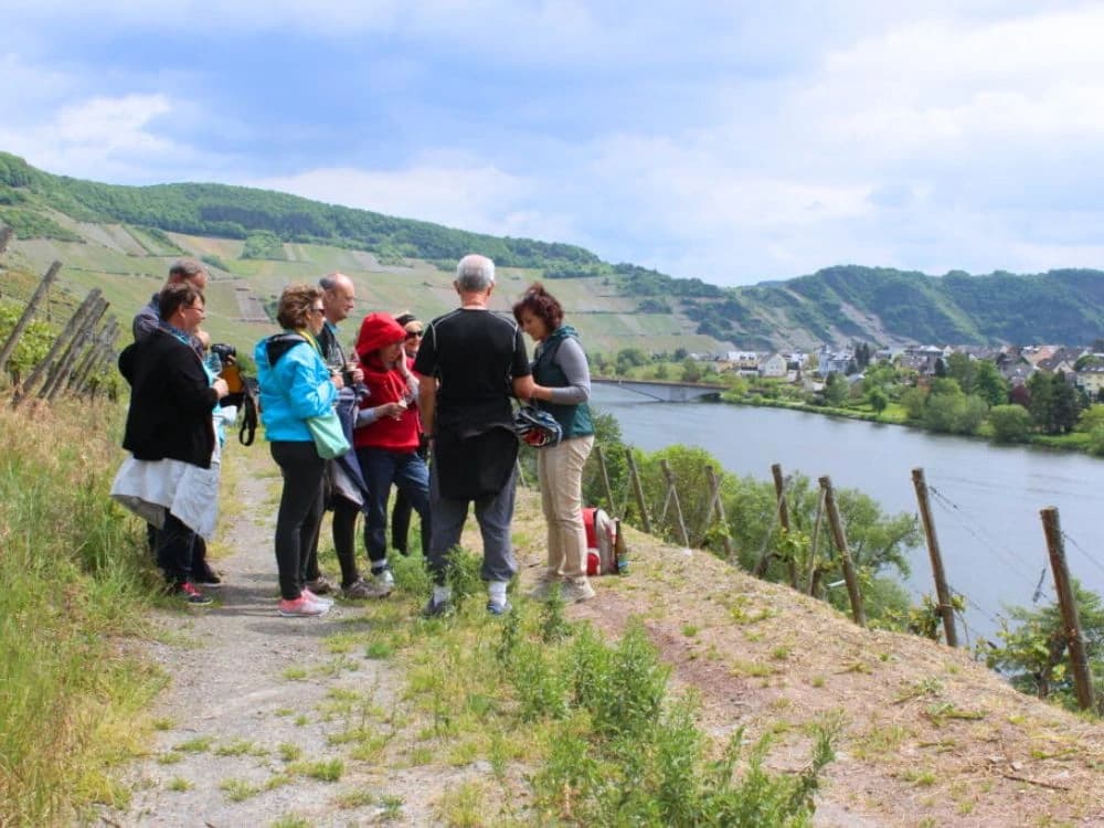 bike-and-boat-along-the-rhine-and-neckar-from-bad-wimpfen-to-coblenz