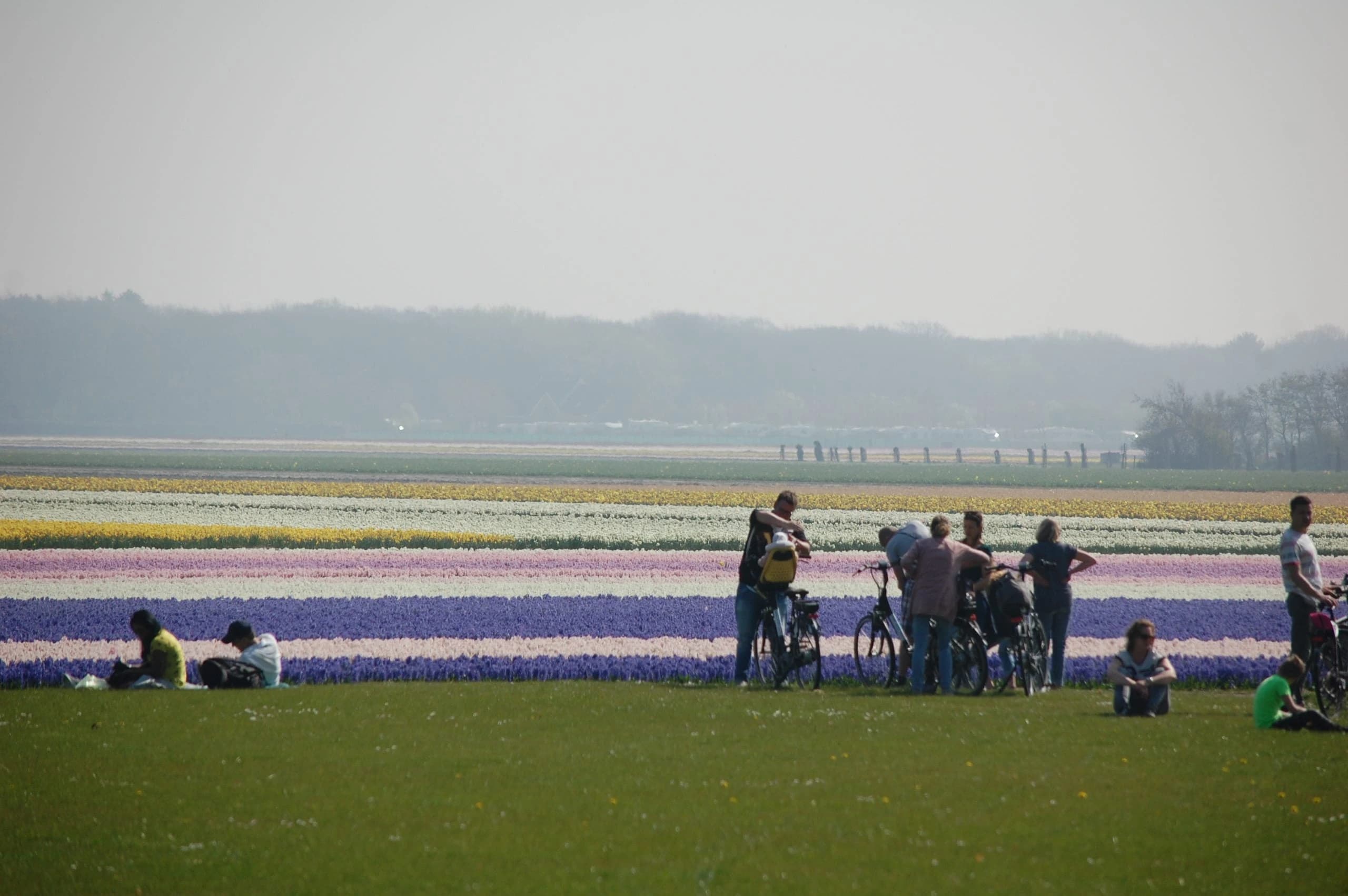 by-bike-among-the-tulip-fields