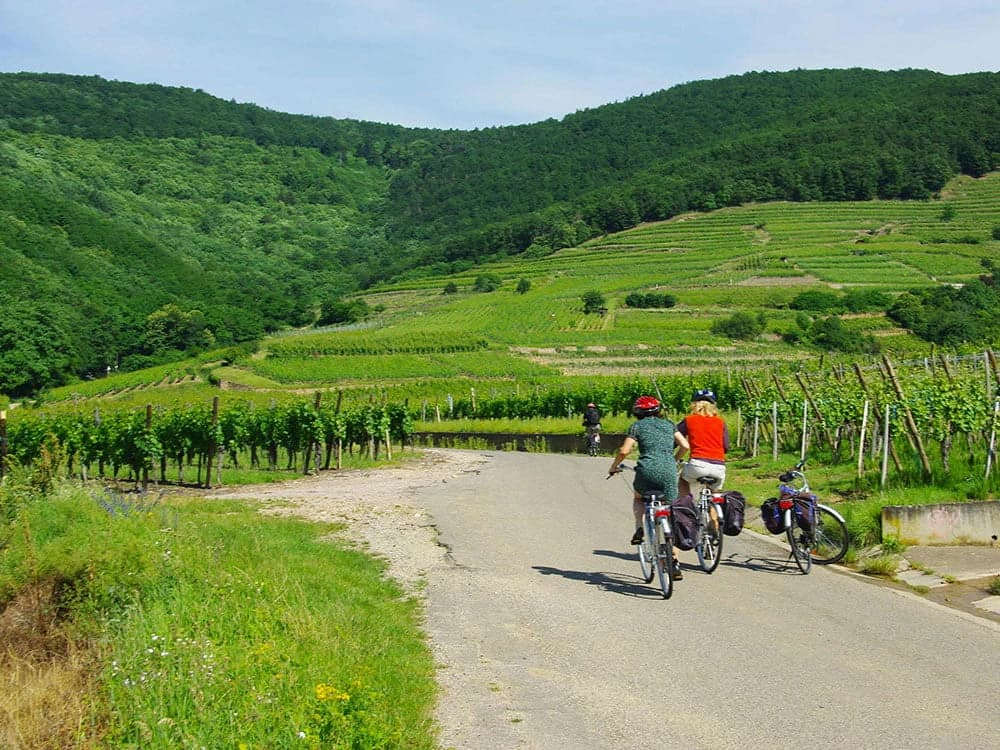 colmar-and-alsace-by-bike