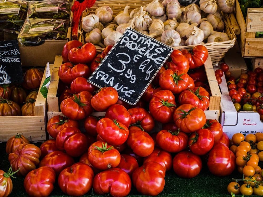 5-days-in-provence-by-bicycle