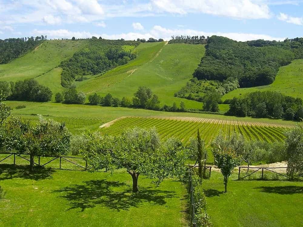 lumbria-in-bici-da-spello-ad-assisi