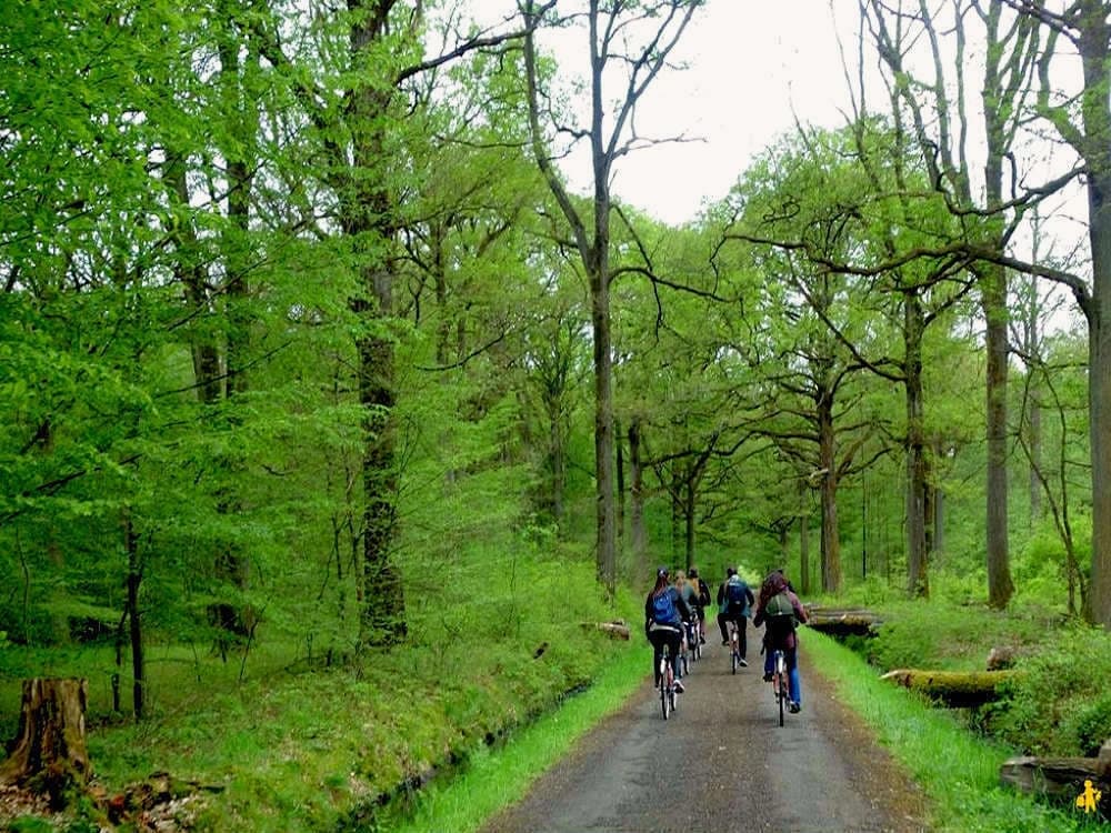 from-fontainebleau-to-versailles-by-bike-in-5-days