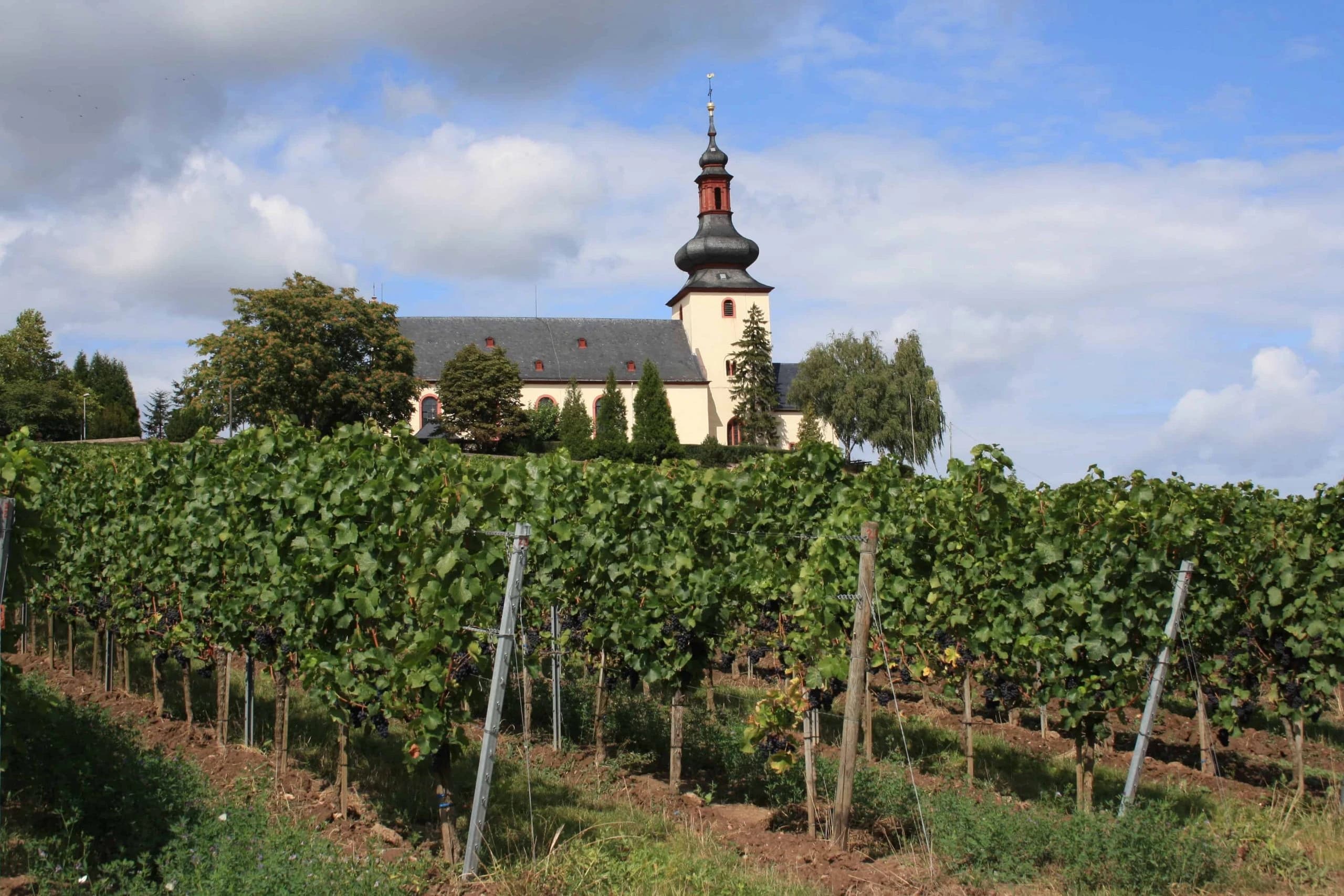 bike-and-boat-along-the-rhine-and-neckar-from-koblenz-to-bad-wimpfen