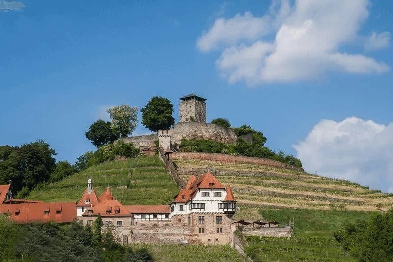 the-moselle-by-bike-and-boat-from-koblenz-to-saarburg