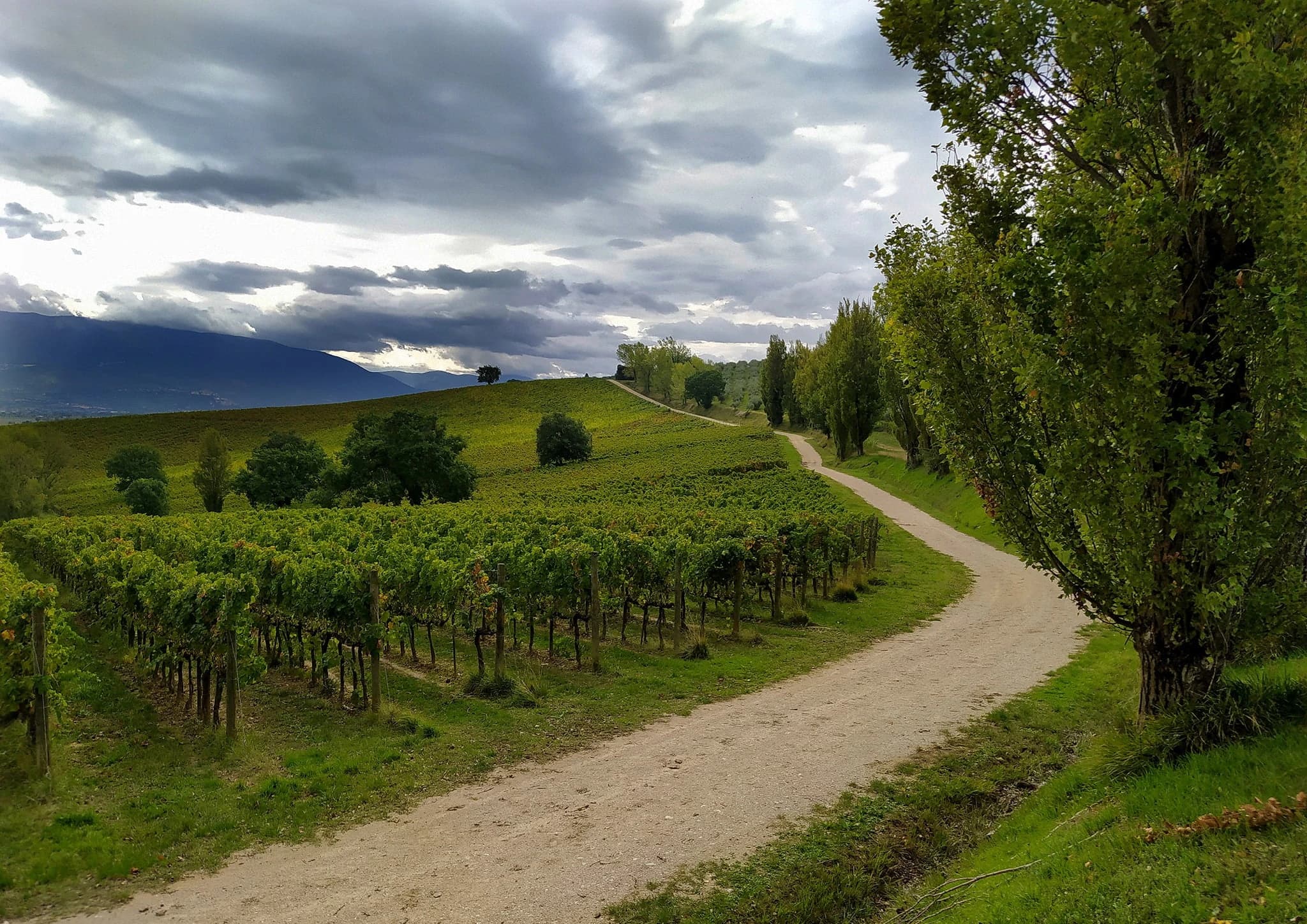 umbria-in-bici-winefood