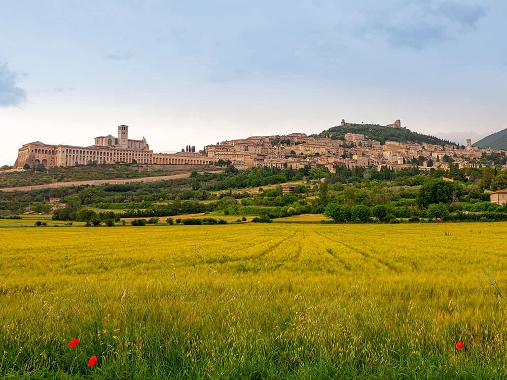 umbria-in-bici-winefood