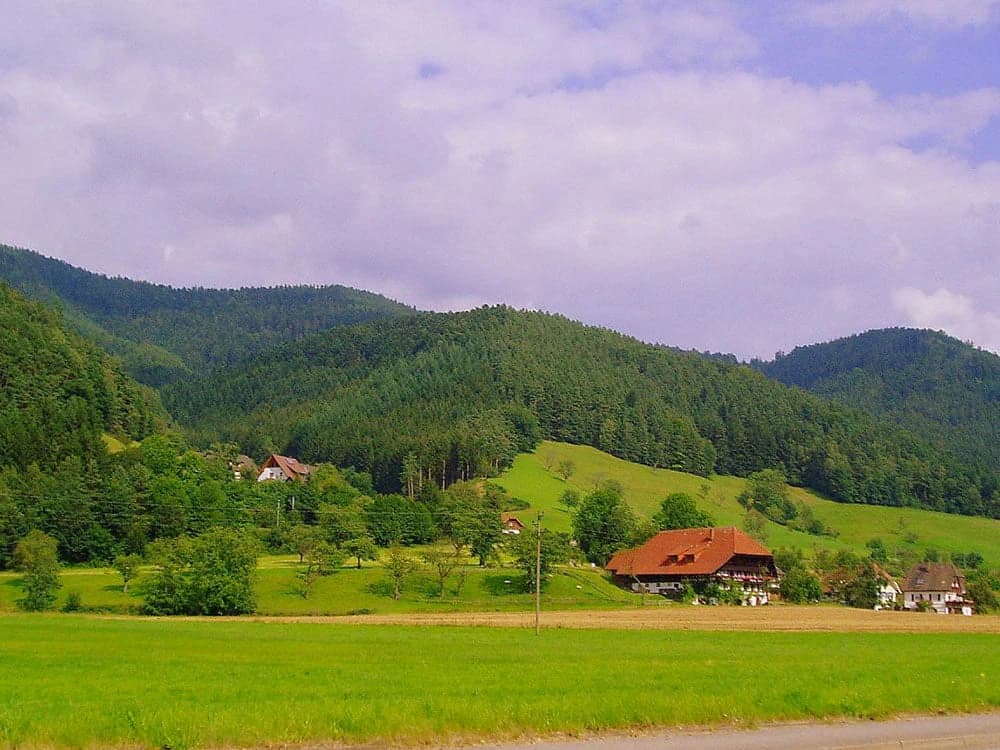 la-foresta-nera-in-bicicletta