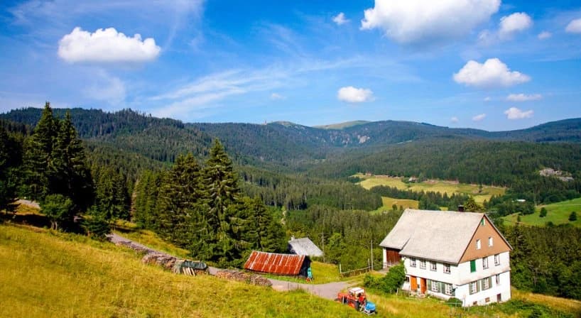 the-black-forest-by-bicycle