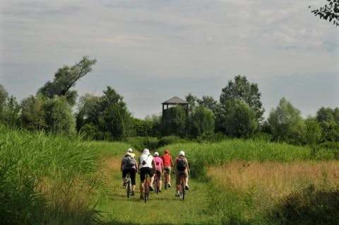 family-cycling-holiday-ferrara-and-the-po-delta-park