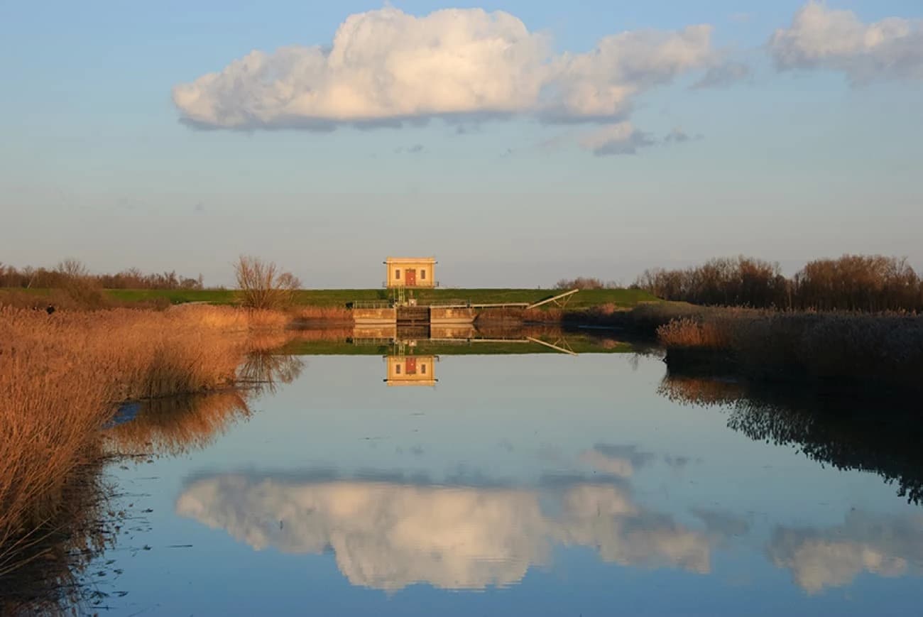 family-cycling-holiday-ferrara-and-the-po-delta-park