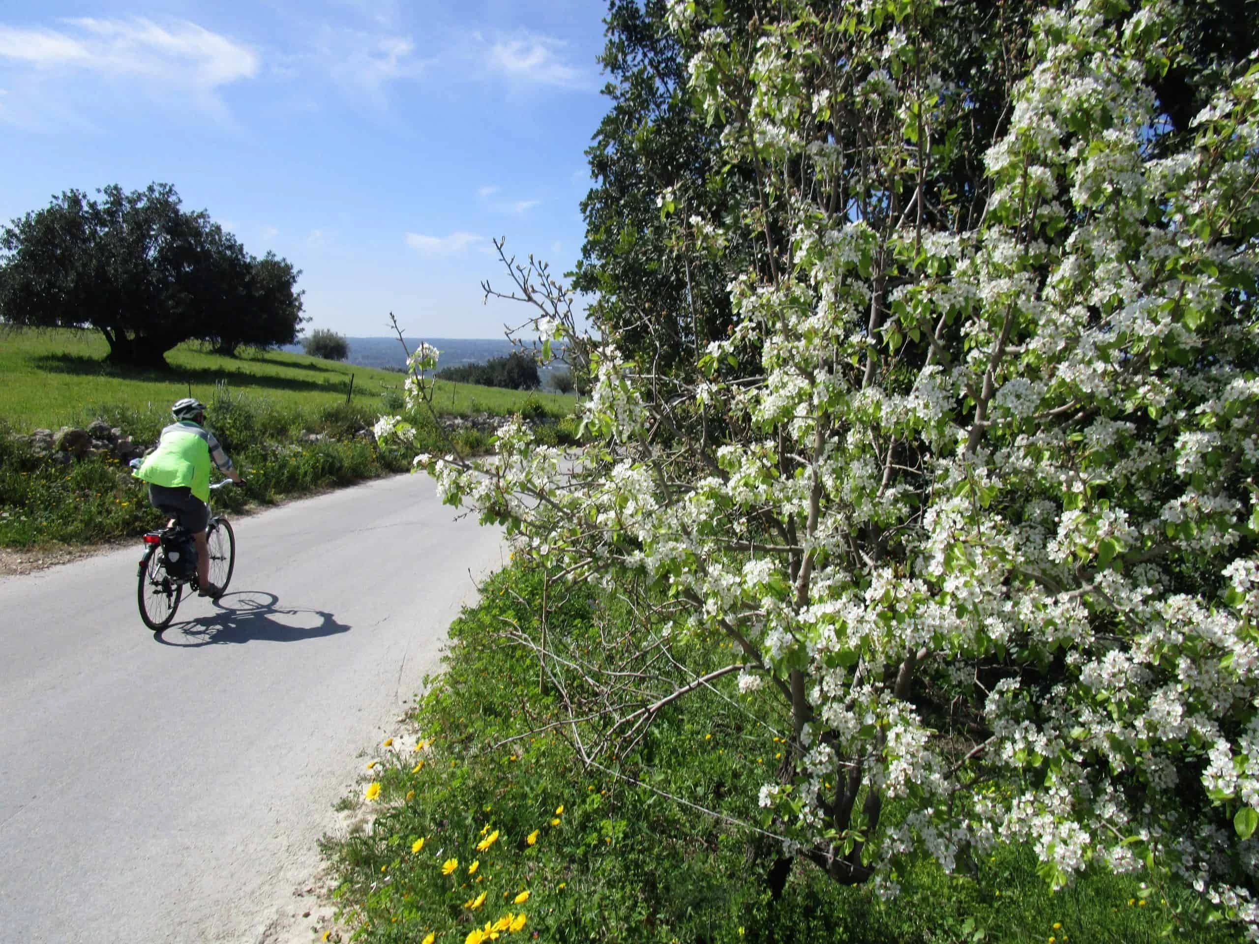 sicilia-in-bici-tra-letna-e-taormina