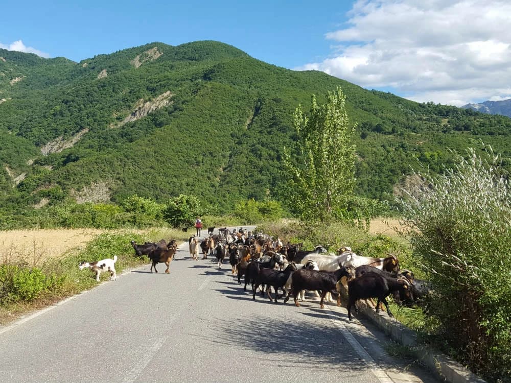 albania-in-bicicletta-i-siti-unesco-e-la-costa-sud