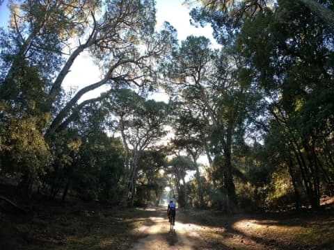 tuscany-by-bike-from-lucca-to-pisa