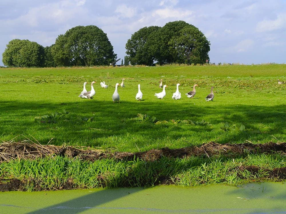 in-bici-e-barca-sullijsselmeer