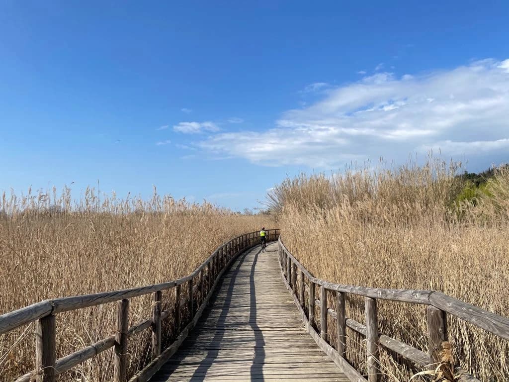 tuscany-by-bike-from-lucca-to-pisa