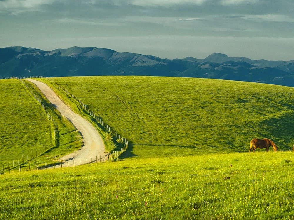 mtb-in-umbria