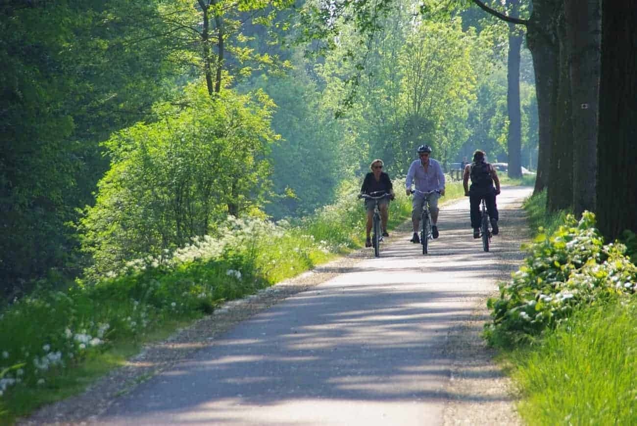 strasbourg-colmar-and-the-pearls-of-alsace-by-bike