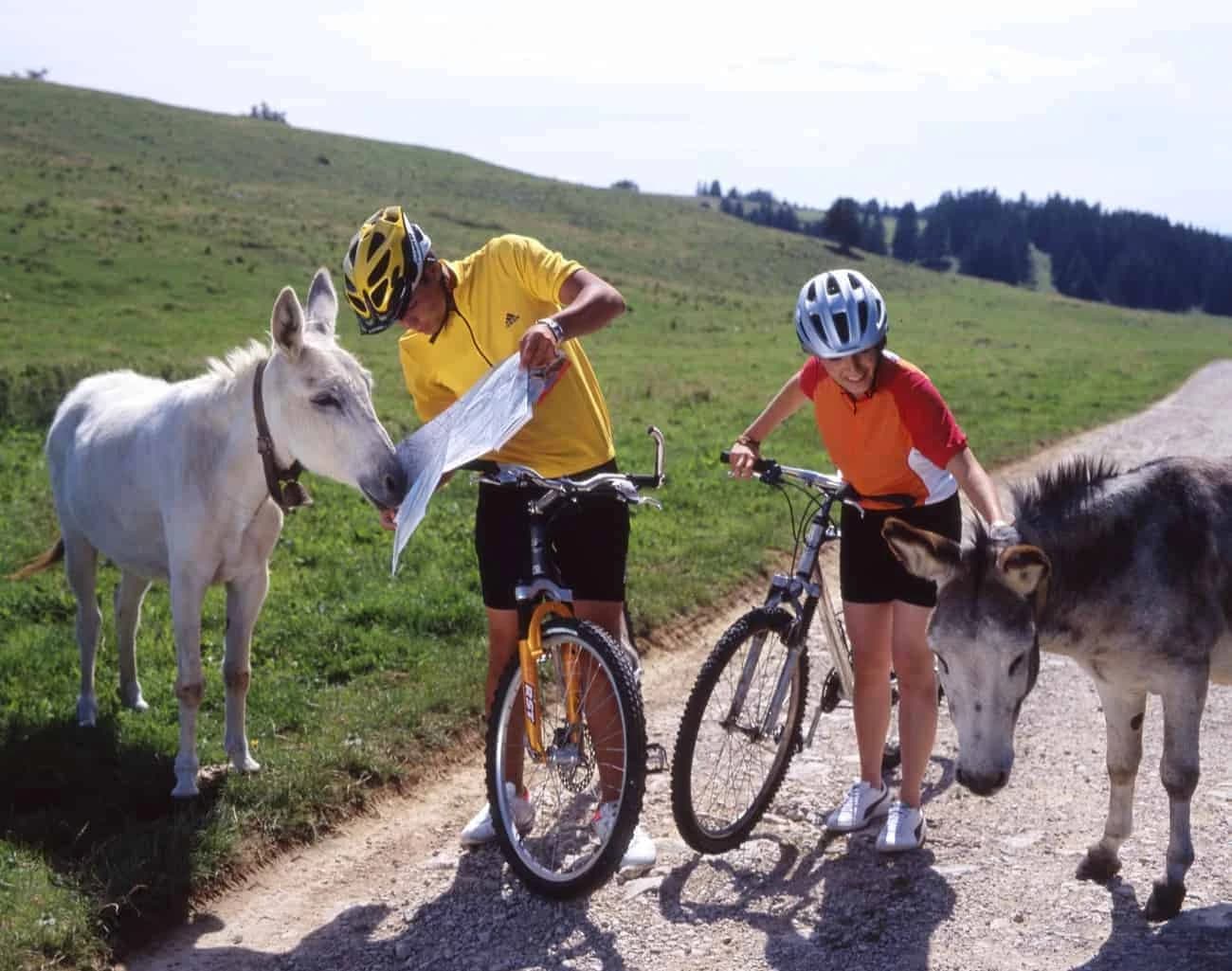 cycling-on-the-jura-massif