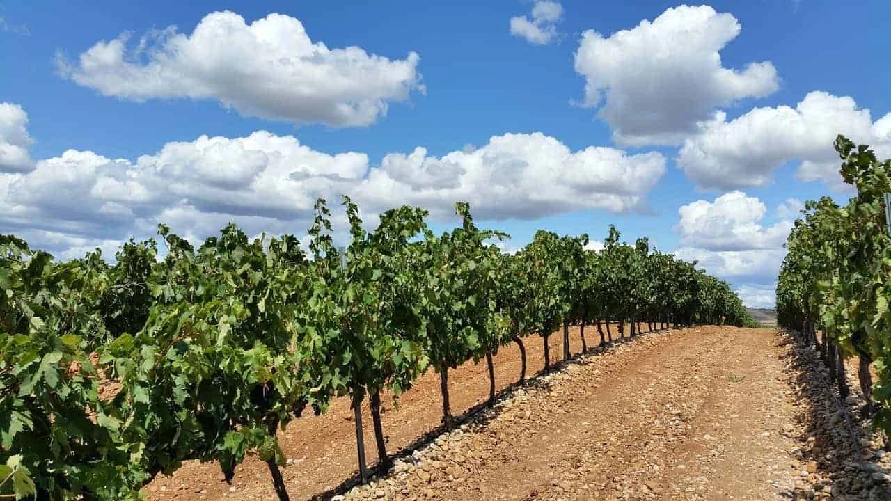 from-the-sources-of-the-ebro-to-la-rioja-by-bike