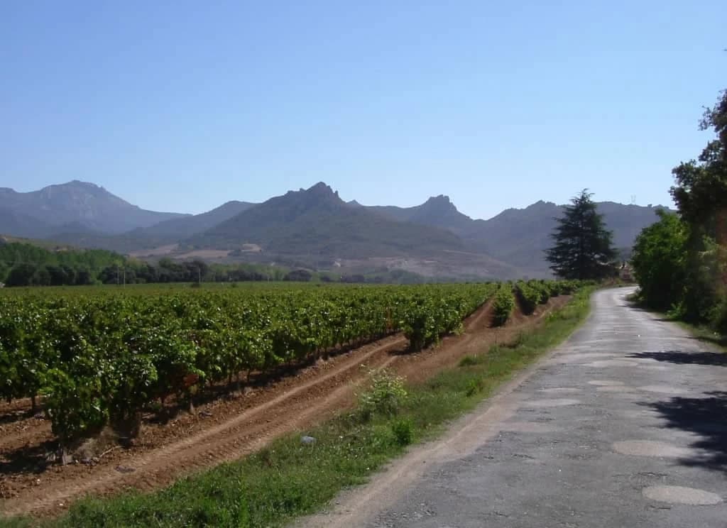 from-the-sources-of-the-ebro-to-la-rioja-by-bike