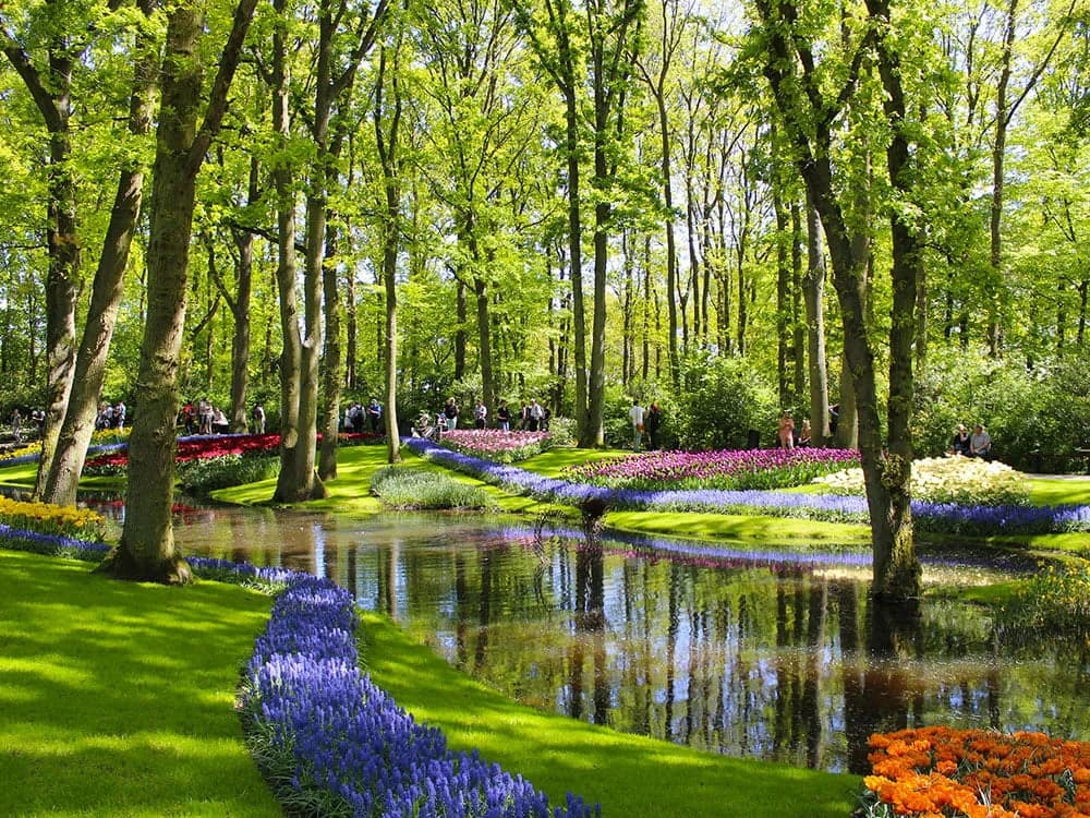 il-tour-dei-tulipani-in-bici-e-barca-premium-plus