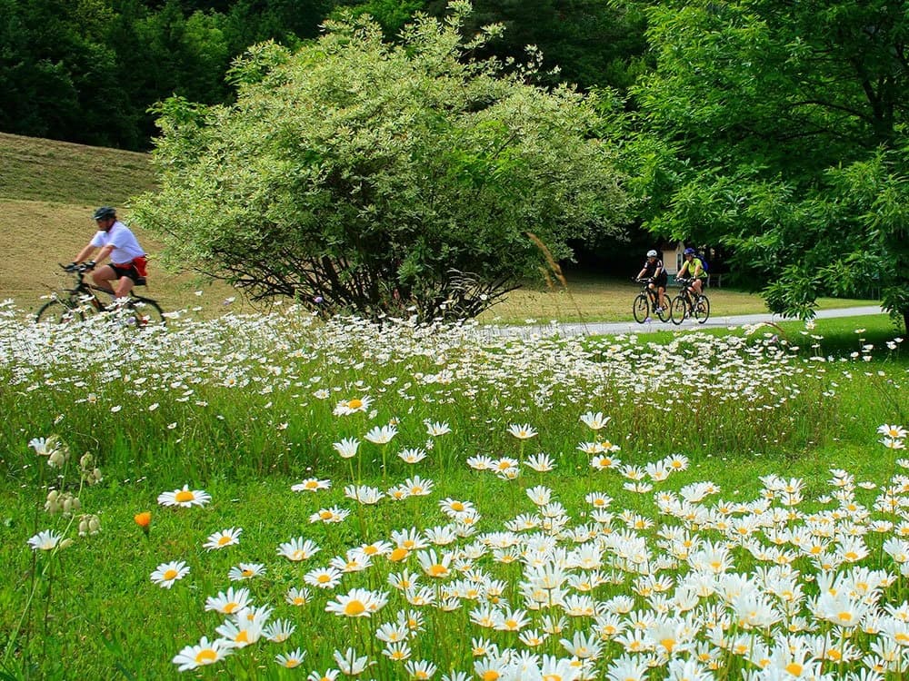 la-pista-ciclabile-della-mura