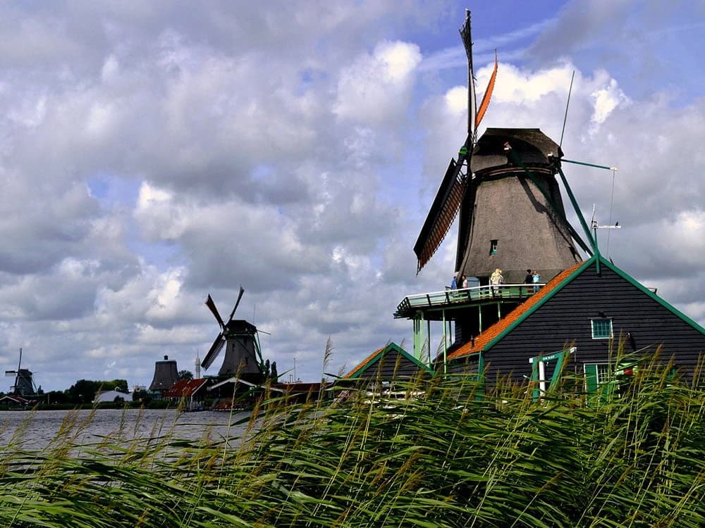 the-tulip-tour-by-bike-and-boat-premium