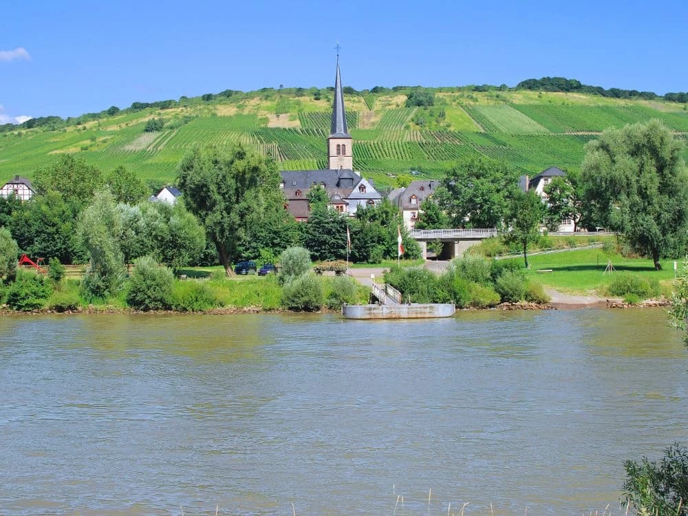 the-moselle-bike-path-from-trier-to-koblenz