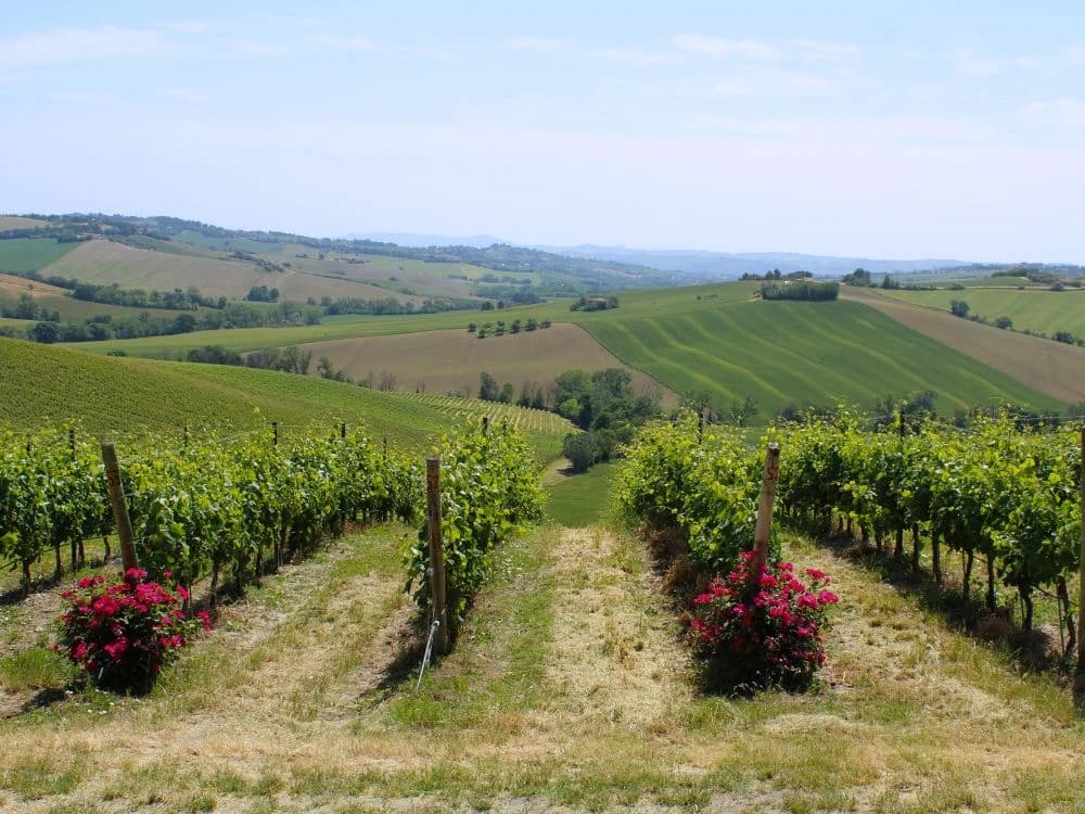 from-the-umbrian-marchigian-apennines-to-the-riviera-del-conero-by-bike