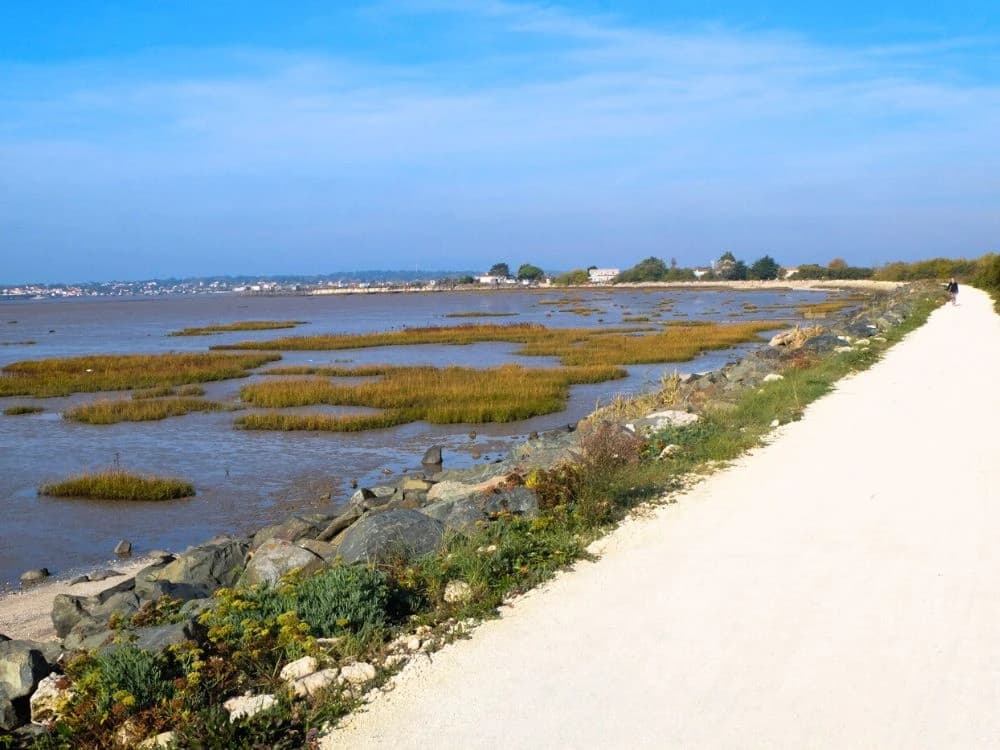 the-velodyssee-from-royan-to-oleron-on-a-bike-in-family