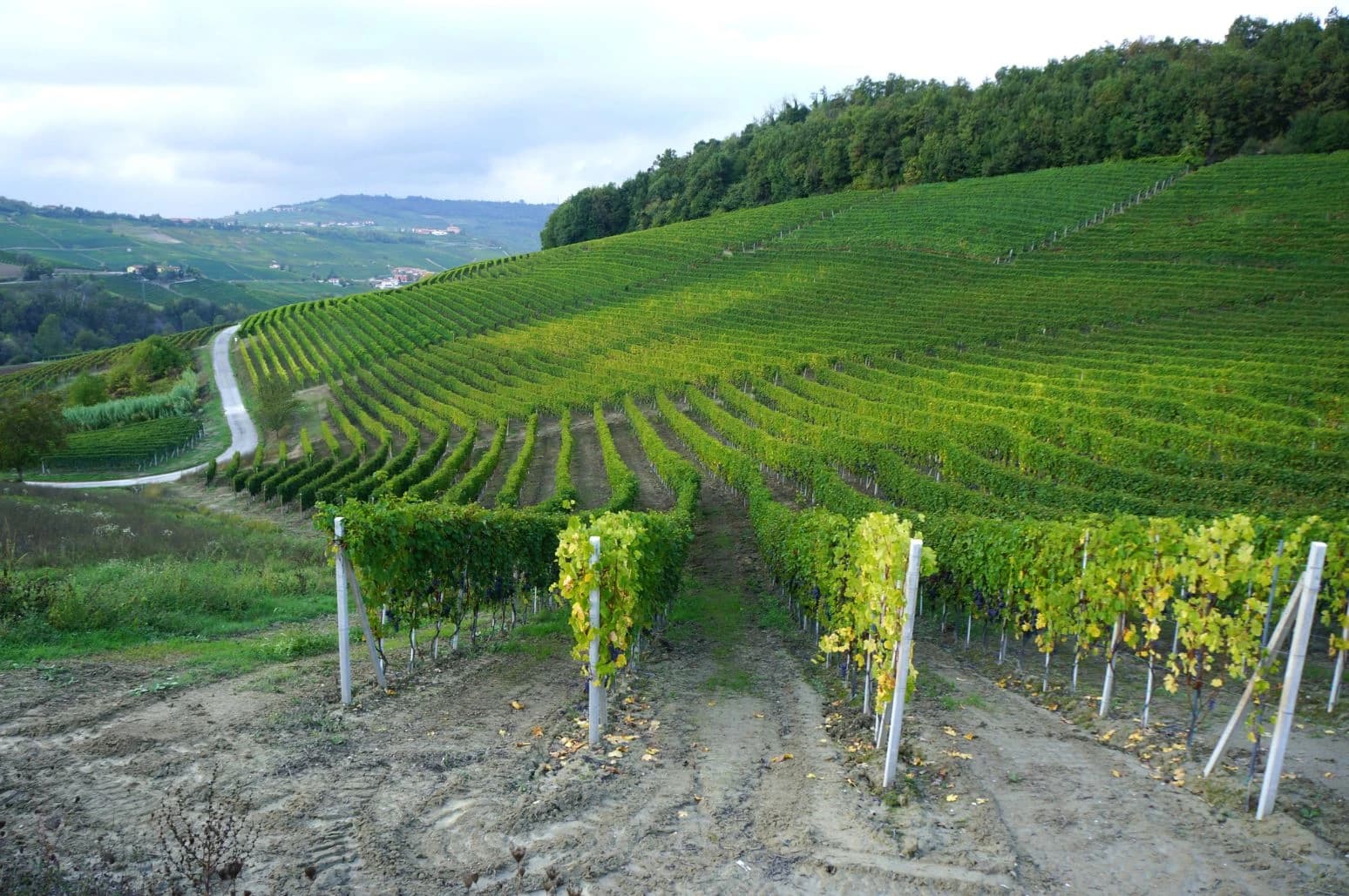 piedmont-cycling-the-hills-of-barolo