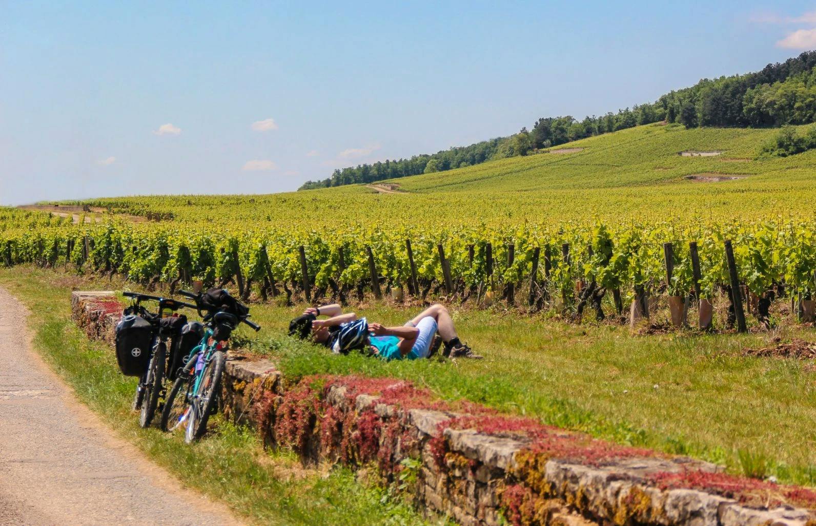 piedmont-cycling-the-hills-of-barolo