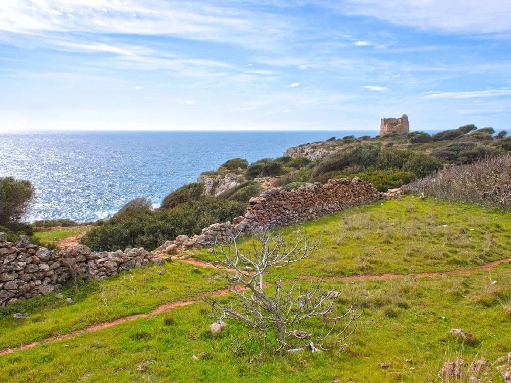 family-cycling-trip-in-salento-from-lecce-to-porto-selvaggio