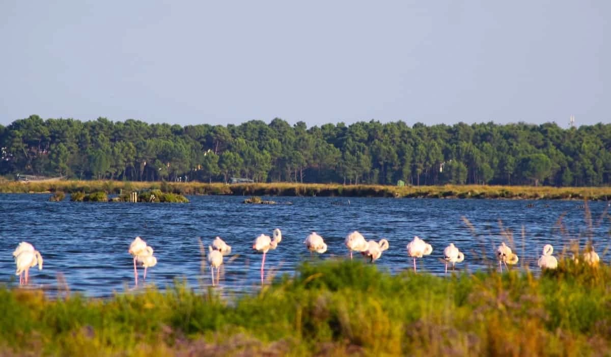 the-adriatic-cycle-route-venice-ravenna-and-rimini