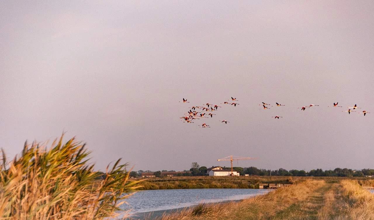 the-adriatic-cycle-route-venice-ravenna-and-rimini