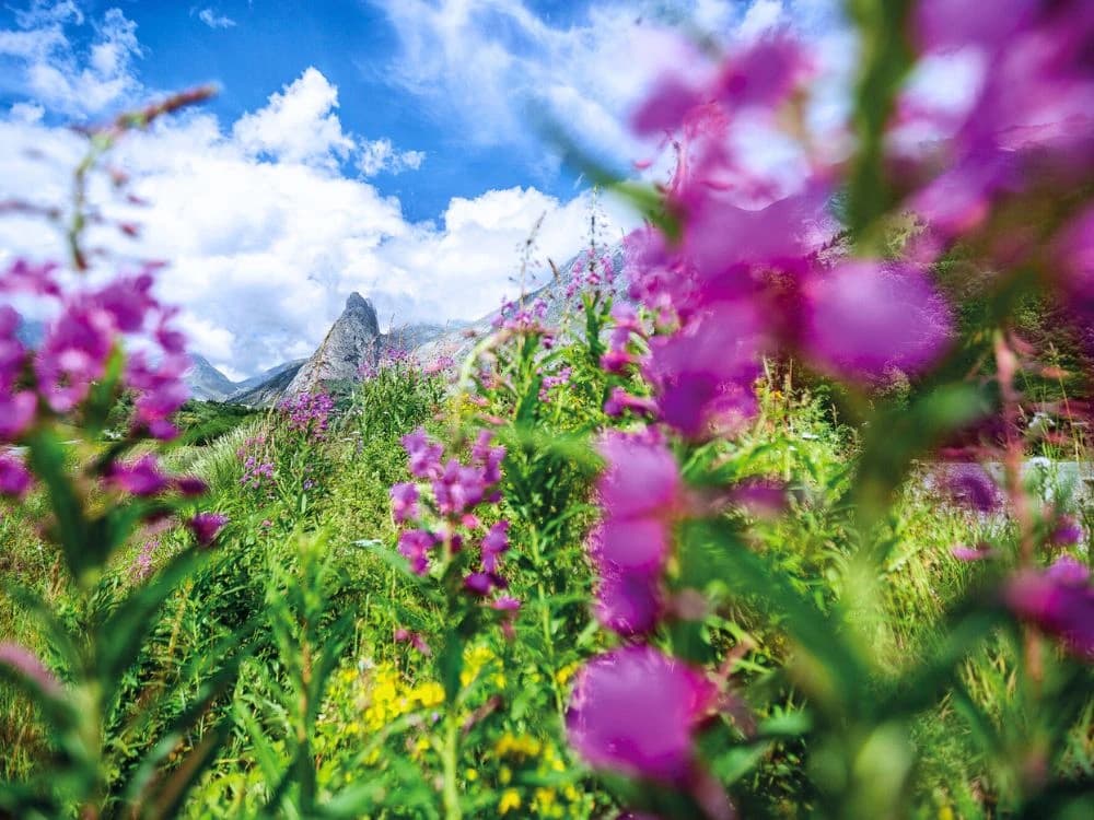 laltopiano-della-gardetta-e-la-val-maira-in-mountain-bike
