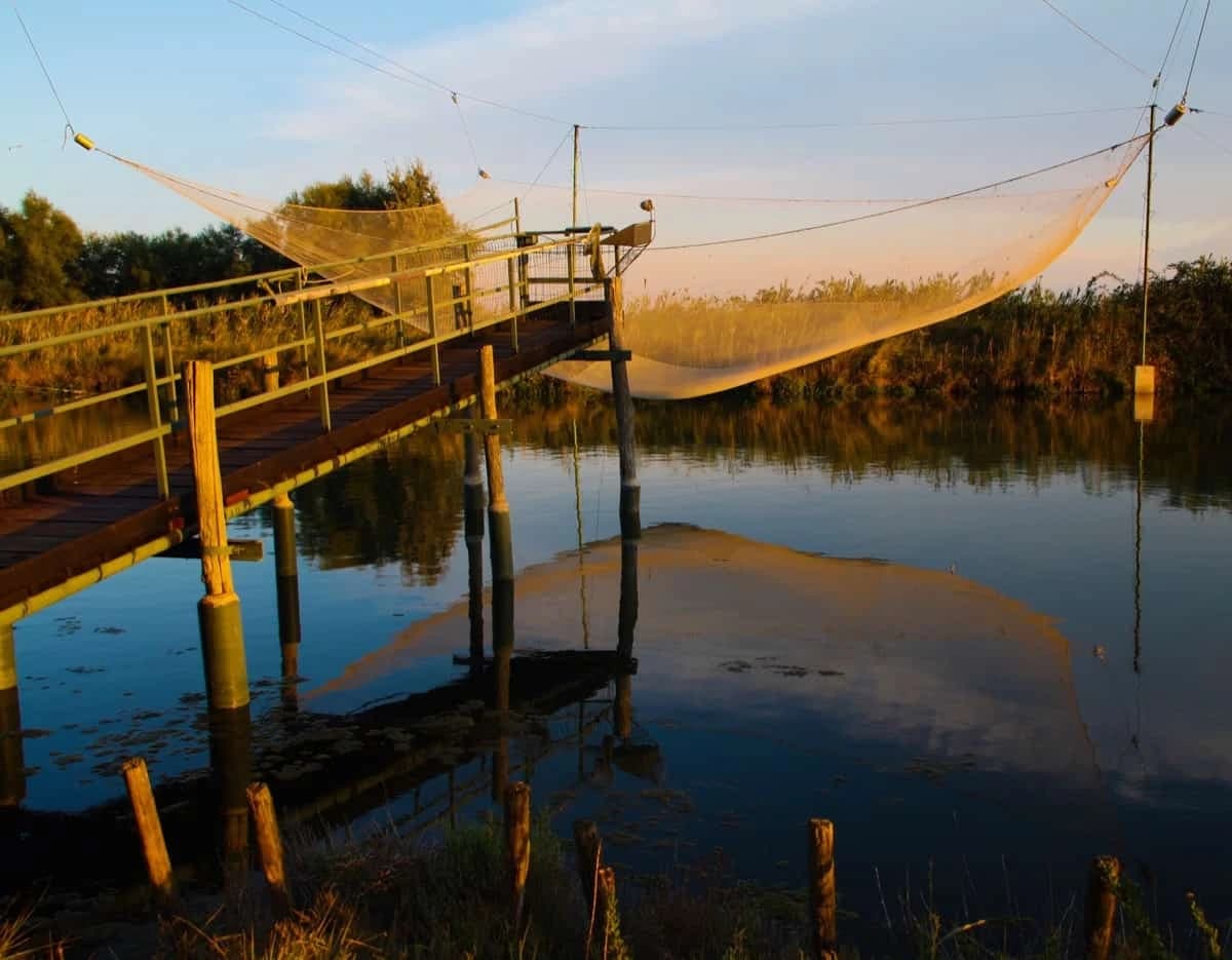 marina-romea-nature-in-romagna