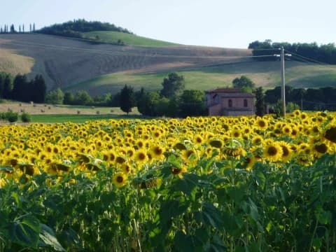 weekend-tra-le-terre-di-faenza-e-la-toscana