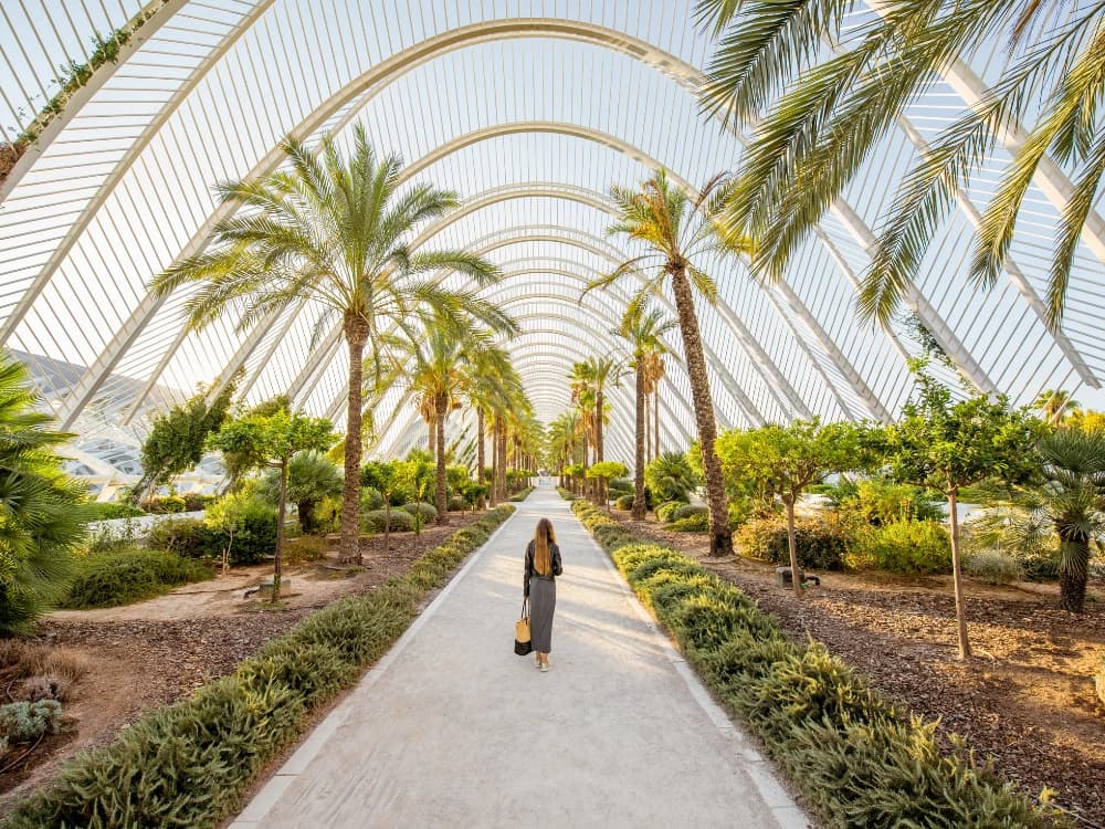 Viaggio a Valencia: alla scoperta di una delle più belle città spagnole viaggio-valencia-alla-scoperta-delle-piu-belle-citta-spagnole image