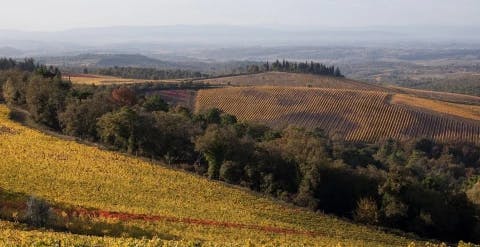 the-villages-of-chianti-and-val-dorcia