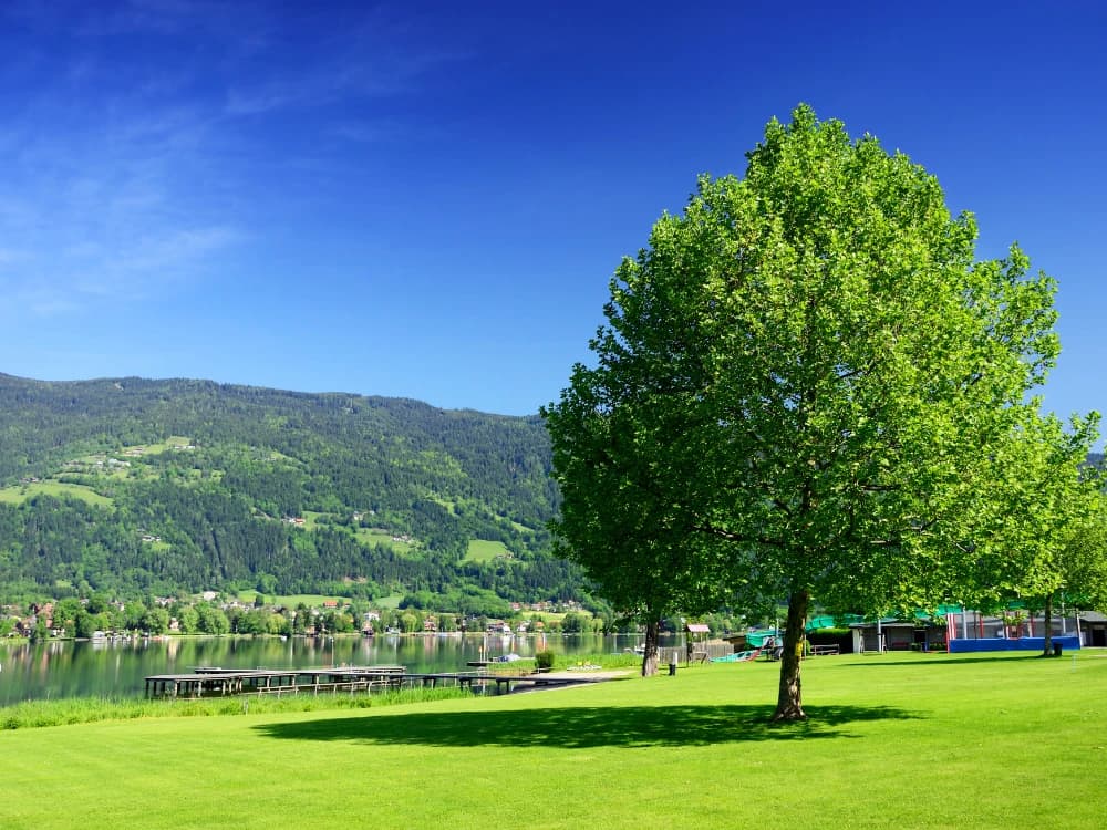 Scoprire la Carinzia: 5 buoni motivi per fare un viaggio in Austria scoprire-la-carinzia-5-buoni-motivi-un-viaggio-austria image