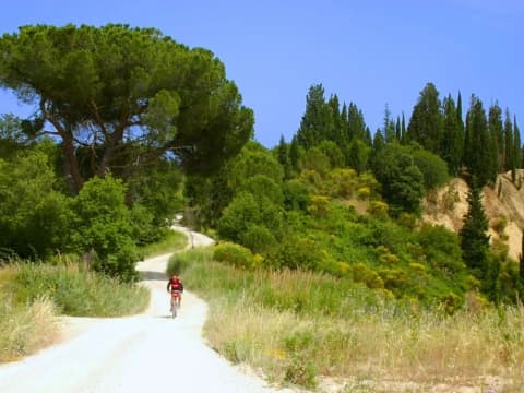 La Via Francigena da Siena a Roma la-via-francigena-da-siena-a-roma