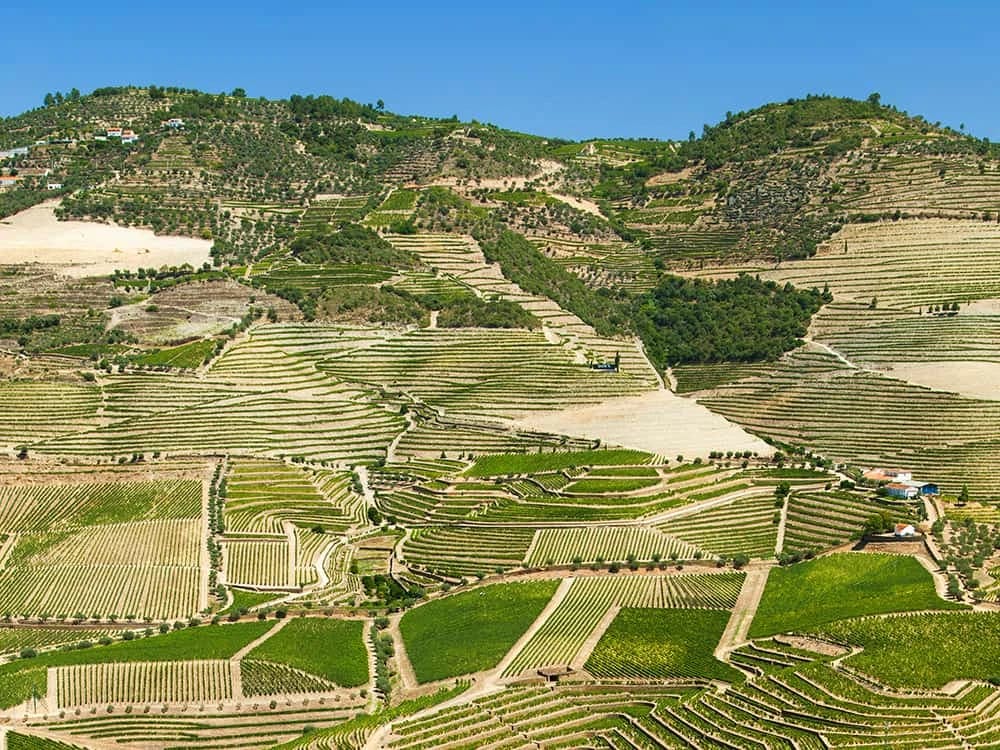 the-douro-valley