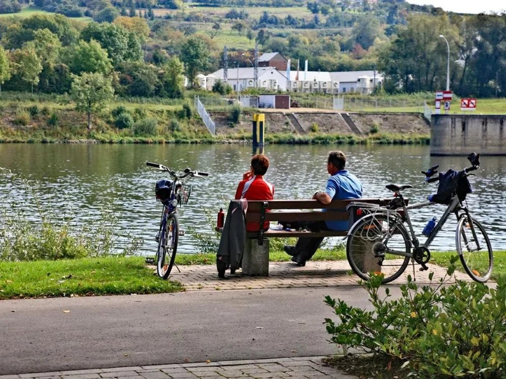 moselle-wines-bike-tour