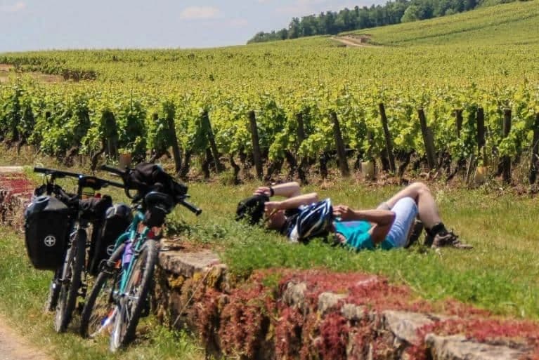 La Via Francigena da Lucca a Siena